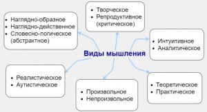 Сколько существует видов и типов мышления?