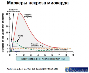Какие бывают кардиомаркеры, на что они указывают?