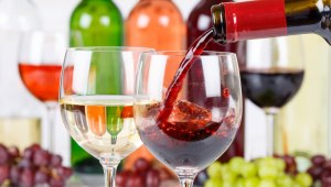 Пить вино каждый день хорошо или плохо? Почему?