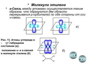 Какая взаимосвязь между магнием и кортизолом?
