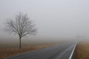 Почему туман может спровоцировать кратковременный насморк?