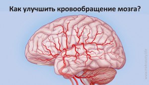 Как увеличить кровообращение головного мозга?