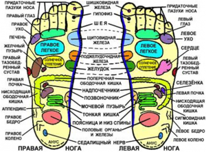 Каков терапевтический эффект от массажа Ашиатсу (скользящие ноги/ступни)?