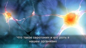 Почему, если уровень серотонина снижается, мы сильно устаем?