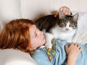 Кошки защищают хозяев от болезней?