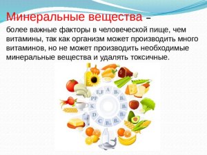 Чем вредны экстрактивные вещества в пище для организма?