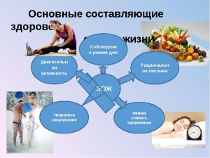 В каких случаях калечит здоровье здоровый образ жизни ? Почему?