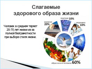 Каковы ключевые преимущества здорового образа жизни?