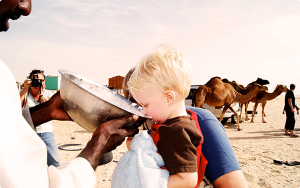 При каких болезнях помогает верблюжье молоко?