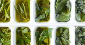 Можно ли замораживать травы, отвары - останутся ли они лекарственными?