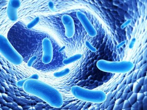 Что будет, если после курса антибиотиков, не восстанавливать микрофлору ЖК?