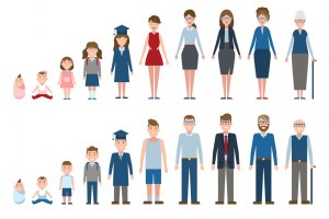 В каком возрасте завершается основное развитие лица?