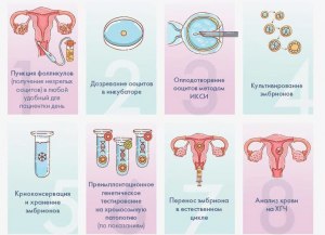 Кому нельзя делать ЭКО?