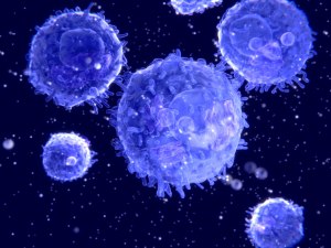 При каком количестве иммунных клеток ВИЧ не опасен?