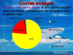 Какой состав воздуха для людей самый полезный?