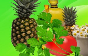 Чем питаться, чтобы тело имело приятный естественный запах?