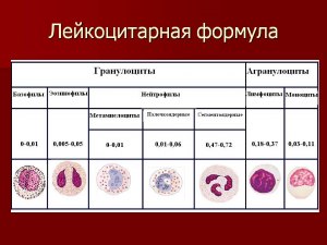 Как называют явление, при котором лейкоциты захватывают чужеродное тело?