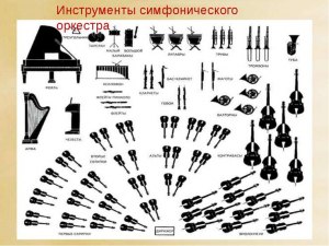 Что такое Симфония клеток, как пользоваться?