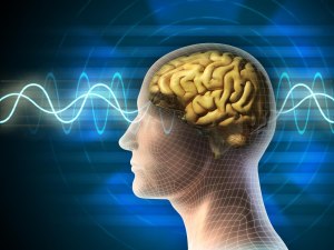 Как музыка стимулирует мозг человека?