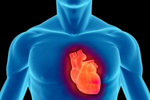 Почему остановка сердца называется внезапной?