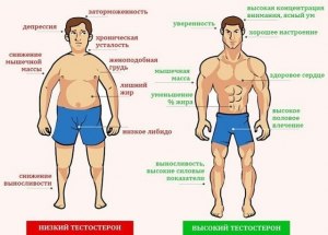Как определить уровень тестостерона у мужчины?