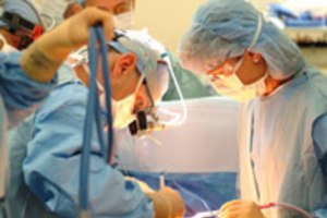 Может ли паразитический близнец быть другого пола? Почему?