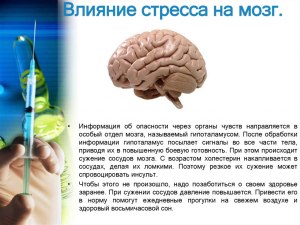 Как влияет сильный стресс на работу мозга?