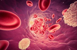 Чем опасен низкий уровень лейкоцитов в крови?