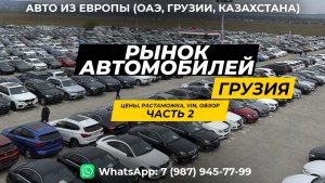 Какие правила и цены на растаможку импортного автомобиля в Беларуси?