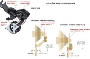 На велосипеде большое количество скоростей, в чем смысл?