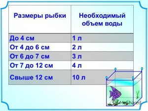 Какое решение - на 1 см тела рыбки требуется 3 л воды?