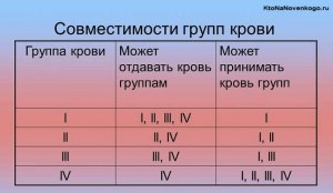 Какое решение находит теория «крови по совести» в «Преступлении и ...»?