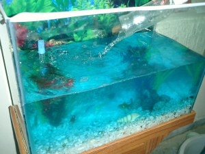 Скол. воды Мише надо дол-ть в аквариум раз в сутки, при испарении 10 см3/ч?