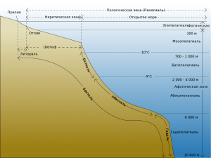 Как установить соответствие между зонами океана и значениями биомассы?