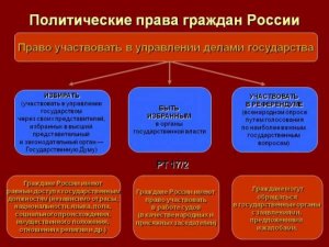 ОГЭ Обществознание, Что относится к политическим правам граждан России?