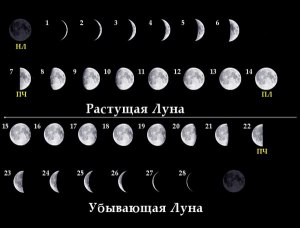 Как ответить на вопросы по изображению Луны в некоторых фазах?