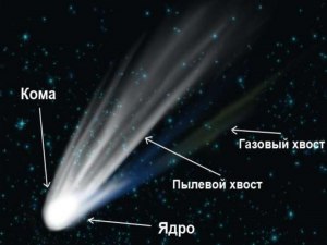 Какое соотв. между объектами и утверждениями: Комета Галлея, Альтаир (см)?