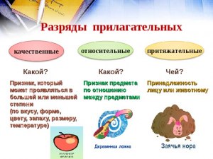 В чем разница между разрядом и категорией в русском языке?
