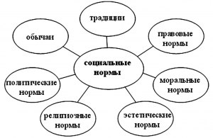 ОГЭ Обществознание, Какими понятиями обозначаются виды социальных норм?