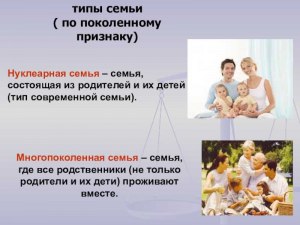 ОГЭ Обществознание, Какими понятиями обозначаются типы семьи?