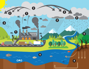Что такое кислотный дождь, как он возникает и какой приносит вред?