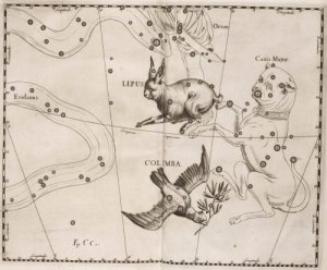Какого созвездия из атласа Яна Гевелия нет в современных атласах?