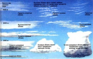 Какие облака, похожие на крыло лебедя, описал космонавт Севастьянов?
