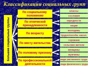 ОГЭ Обществознание, Какие суждения о многообразии социальных групп верные?