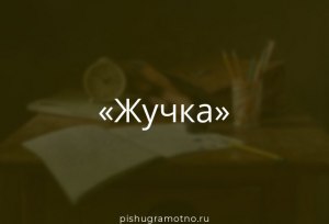 Какова этимология слова "жучка"?
