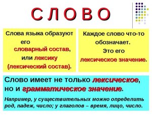 Что значит слово "возомненье"? Что такое "скаредный скрытень"?