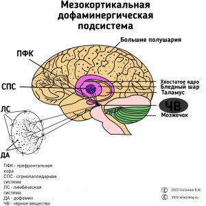 Что означает выражение "крутить мозги"?