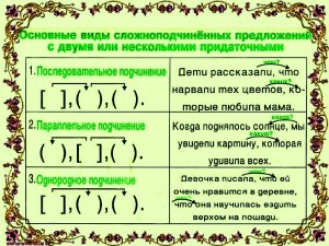 Сколько значений у слова "банка", приведите примеры предложений (см)?