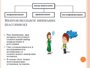 Чем отличается Беззащитность от Незащищенности?