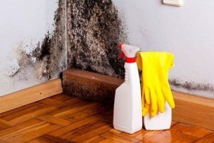 Как правильно сказать: "уберечь продукт от плесени" или "оградить"?